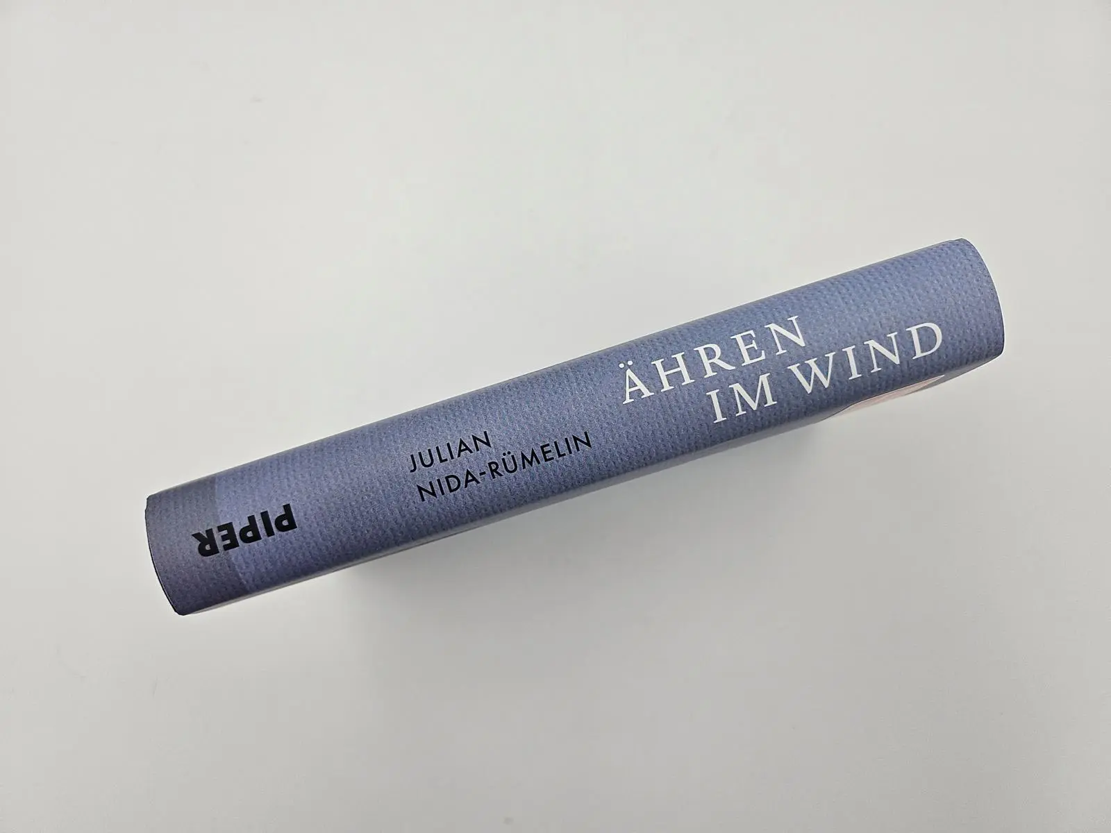 Bild: 9783492072939 | Ähren im Wind | Politische Orientierung in fordernder Zeit | Buch