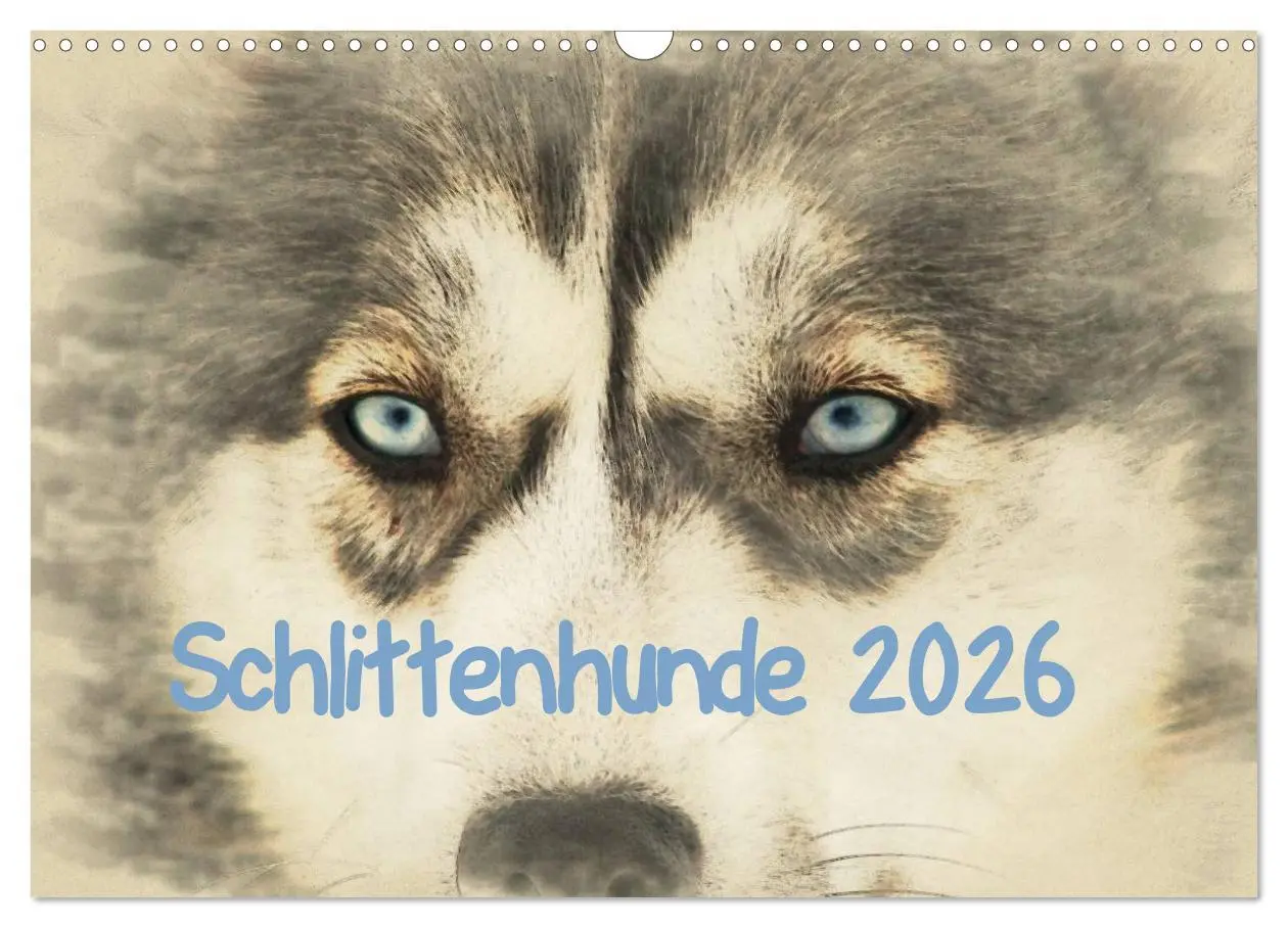 Cover: 9783516132939 | Schlittenhunde 2026 (Wandkalender 2026 DIN A3 quer), CALVENDO...