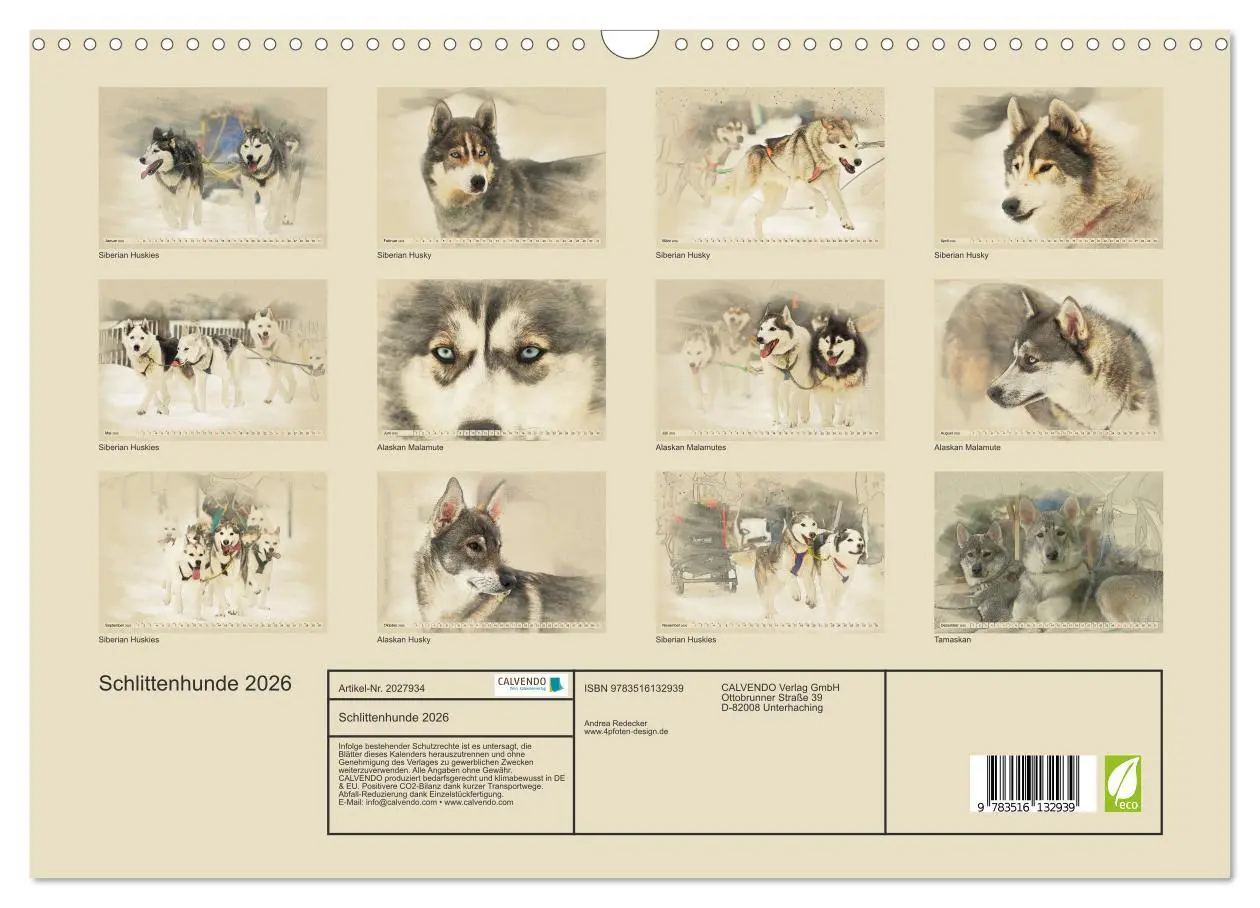 Bild: 9783516132939 | Schlittenhunde 2026 (Wandkalender 2026 DIN A3 quer), CALVENDO...