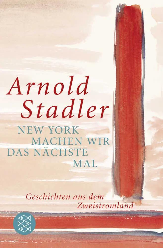 Cover: 9783596192939 | New York machen wir das nächste Mal | Arnold Stadler | Taschenbuch