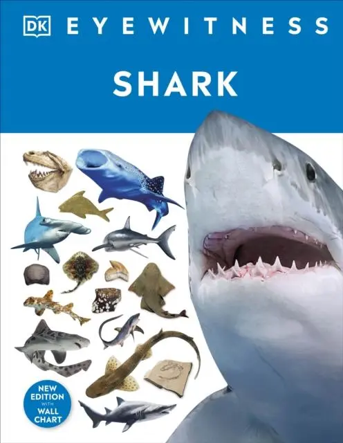Cover: 9780241553039 | Shark | Dk | Buch | Gebunden | Englisch | 2022 | EAN 9780241553039