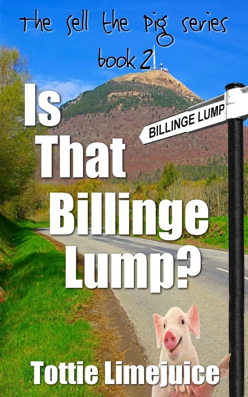 Cover: 9782901773139 | Is that Billinge Lump? | Tottie Limejuice | Taschenbuch | Englisch