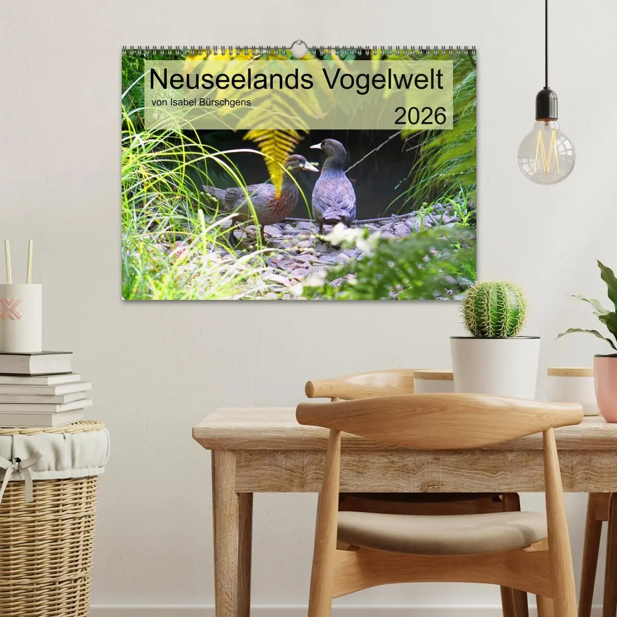Bild: 9783457773239 | Neuseelands Vogelwelt (Wandkalender 2026 DIN A3 quer), CALVENDO...