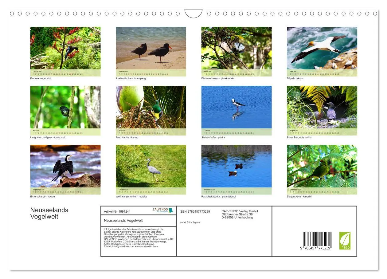 Bild: 9783457773239 | Neuseelands Vogelwelt (Wandkalender 2026 DIN A3 quer), CALVENDO...