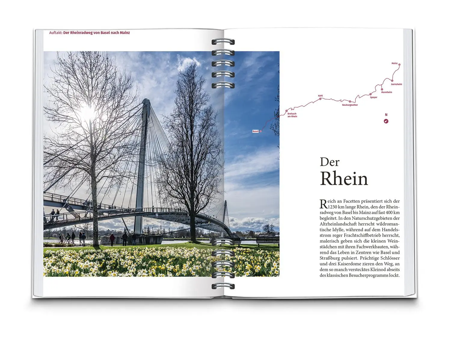 Bild: 9783991213239 | KOMPASS Radreiseführer Rheinradweg von Basel bis Mainz | GmbH | Buch