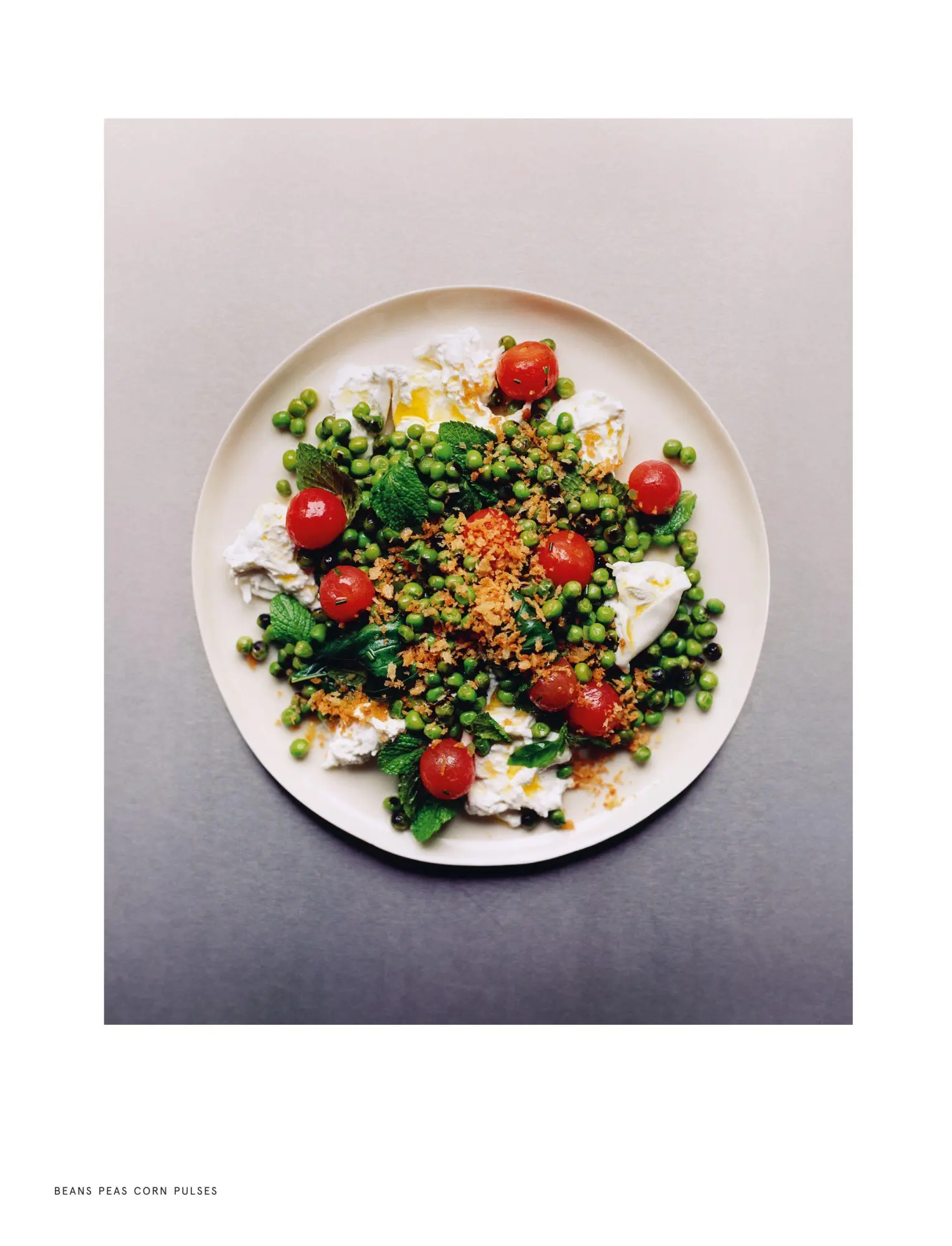 Bild: 9781035053339 | Cooking With Vegetables | Jesse Jenkins | Buch | Englisch | 2025