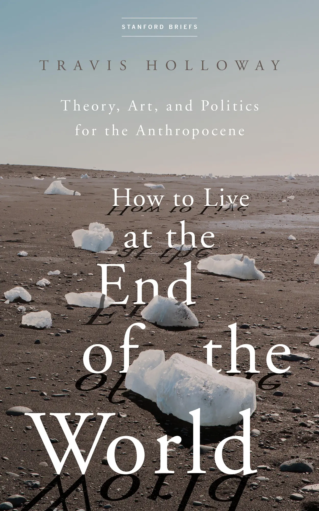 Cover: 9781503633339 | How to Live at the End of the World | Travis Holloway | Taschenbuch