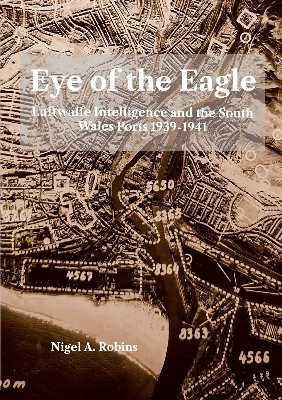 Cover: 9781739353339 | Eye of the Eagle | Nigel A Robins | Taschenbuch | Englisch | 2024