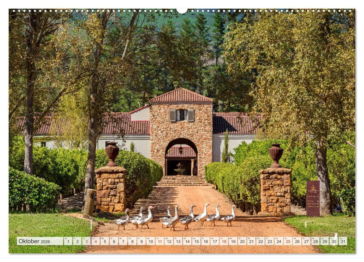Bild: 9783457693339 | Weingüter Südafrikas, Weinarchitektur zwischen Tradition und...