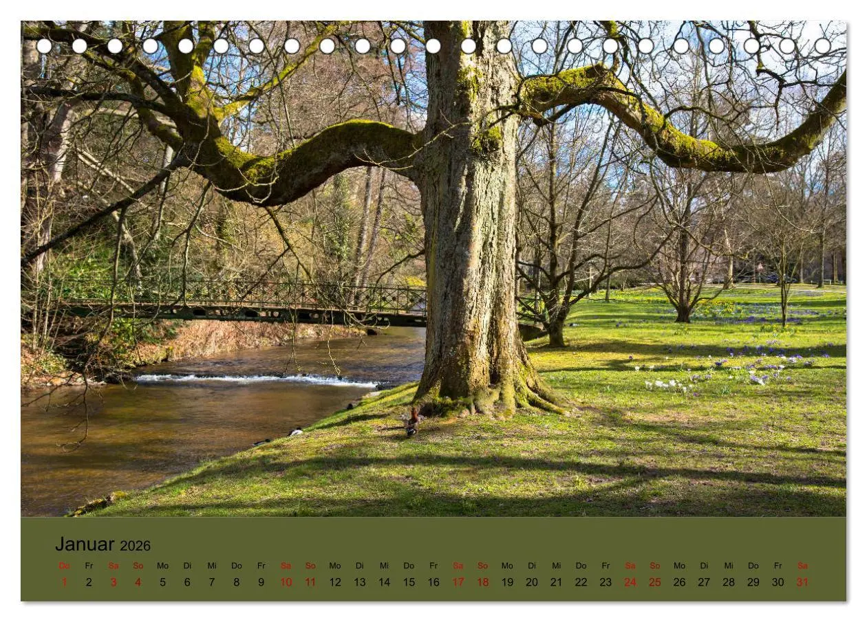 Bild: 9783457833339 | Kurpark Baden-Baden (Tischkalender 2026 DIN A5 quer), CALVENDO...