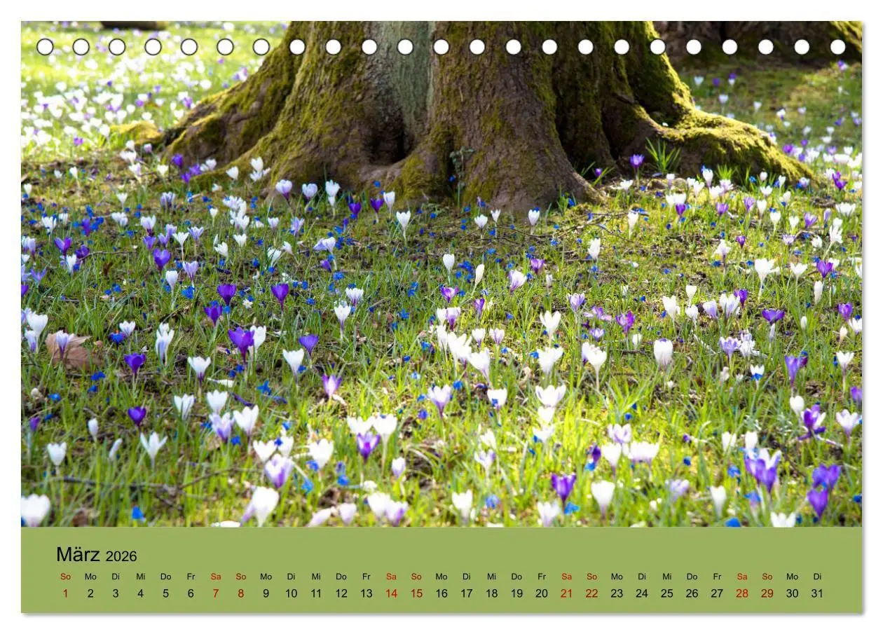 Bild: 9783457833339 | Kurpark Baden-Baden (Tischkalender 2026 DIN A5 quer), CALVENDO...