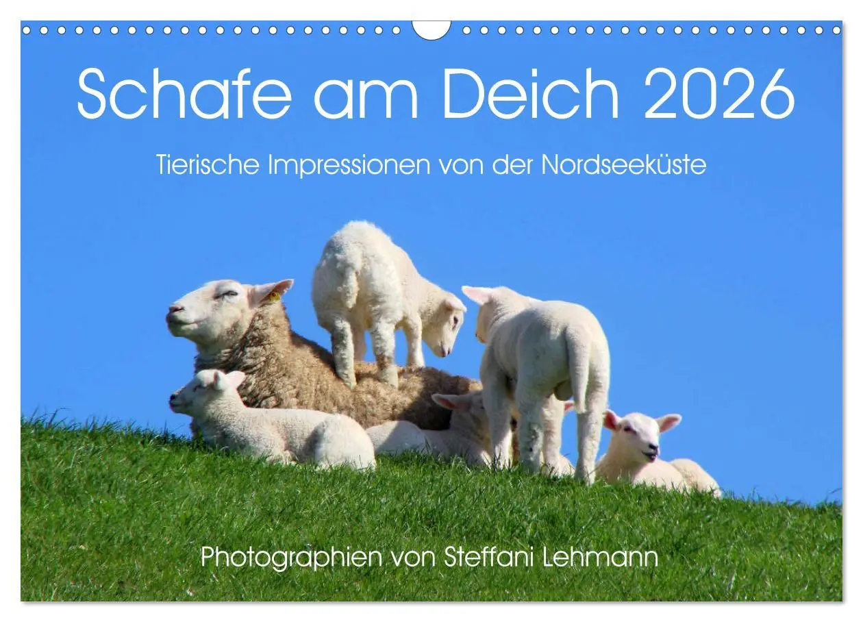 Cover: 9783516093339 | Schafe am Deich 2026. Tierische Impressionen von der Nordseeküste...