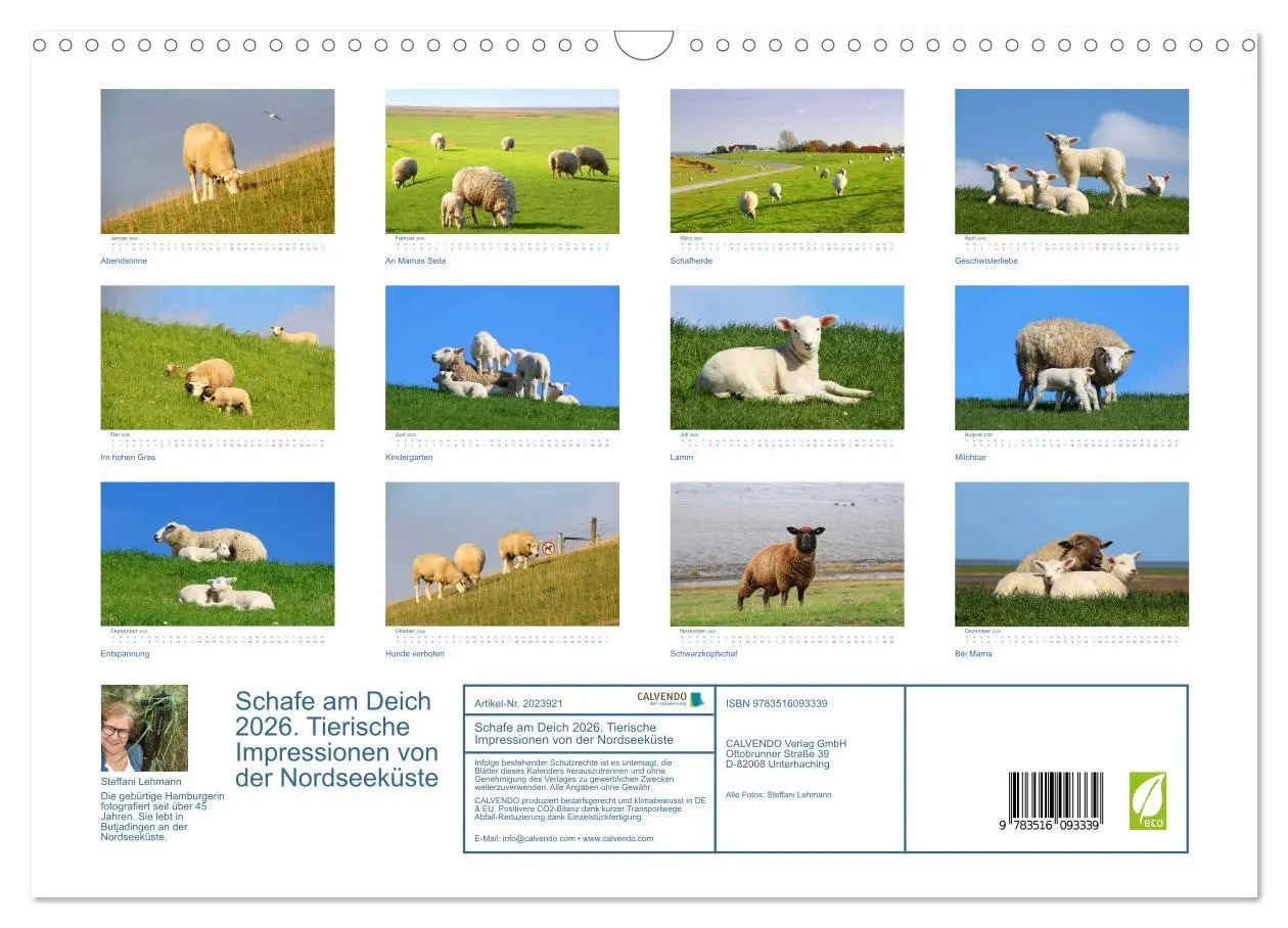 Bild: 9783516093339 | Schafe am Deich 2026. Tierische Impressionen von der Nordseeküste...