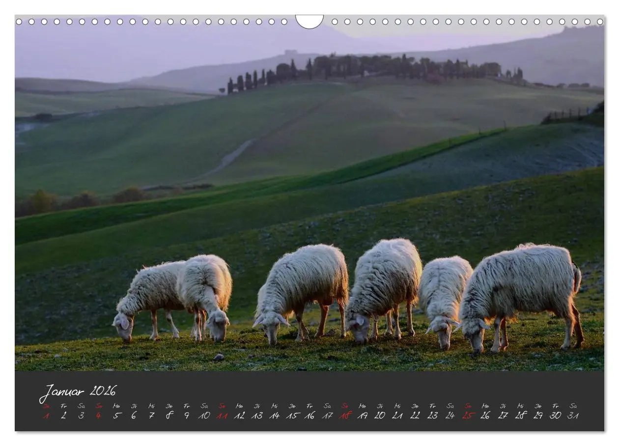 Bild: 9783516163339 | Licht der Toscana (Wandkalender 2026 DIN A3 quer), CALVENDO...