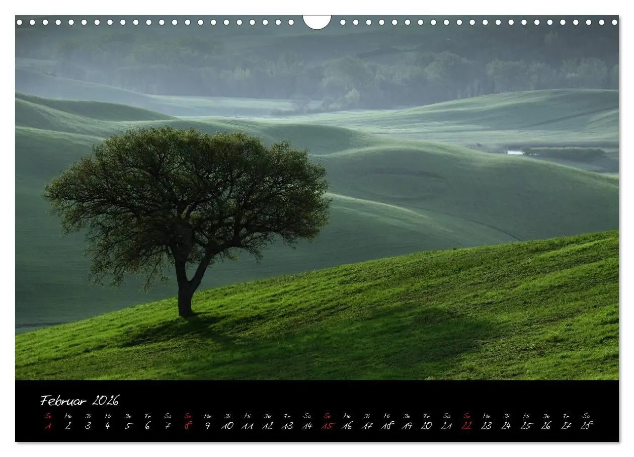 Bild: 9783516163339 | Licht der Toscana (Wandkalender 2026 DIN A3 quer), CALVENDO...