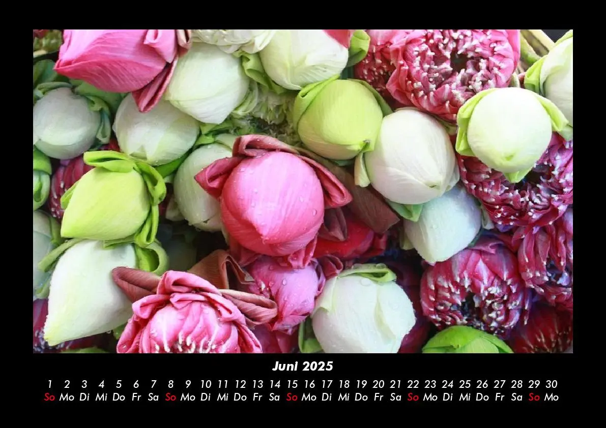 Bild: 9783755993339 | Blumenkalender 2025 Fotokalender DIN A3 | Tobias Becker | Kalender