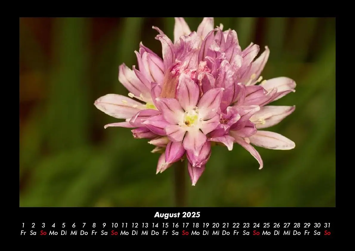 Bild: 9783755993339 | Blumenkalender 2025 Fotokalender DIN A3 | Tobias Becker | Kalender
