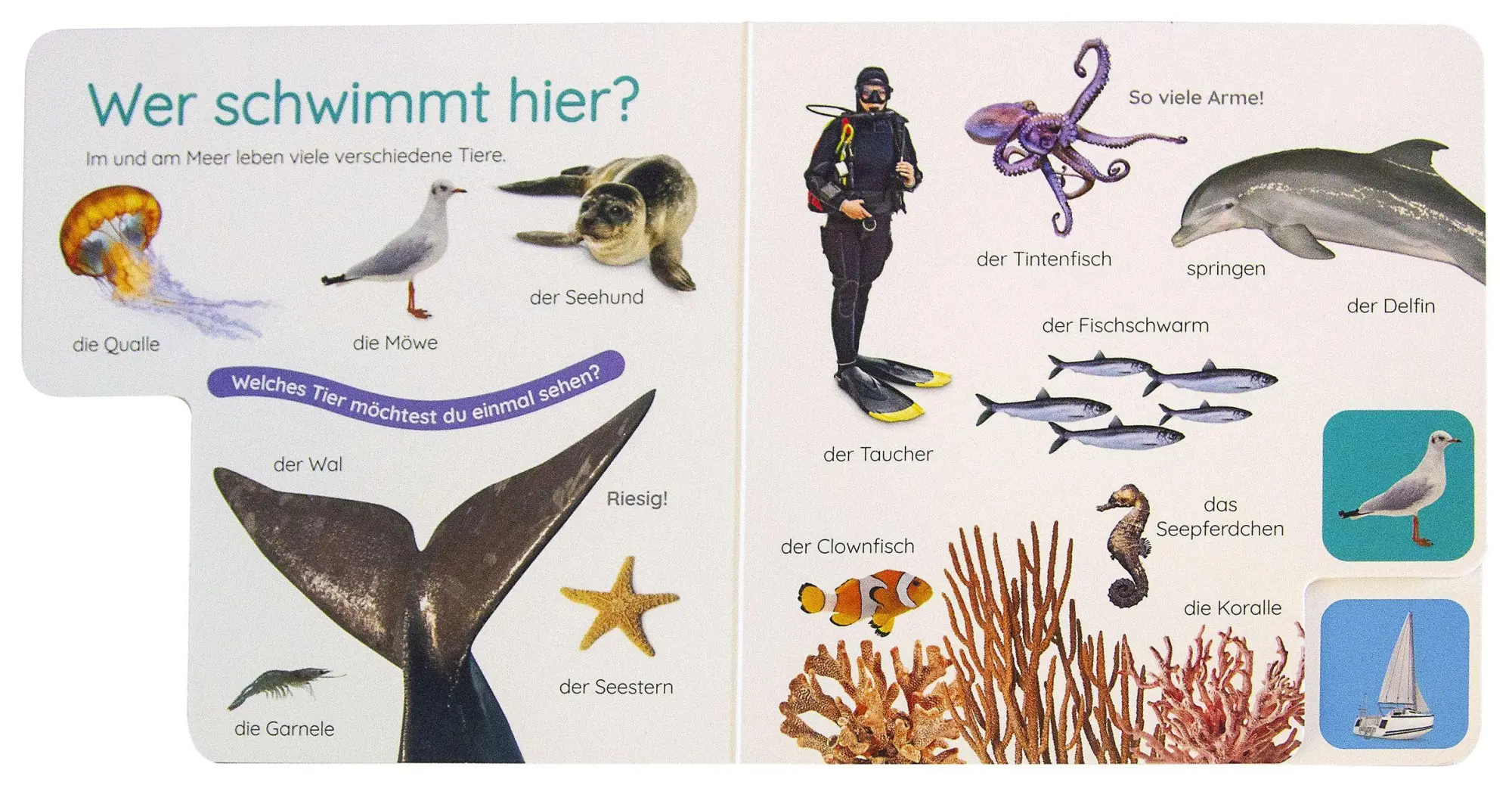Bild: 9783831053339 | Erstes Lernen Pocket. Am Meer | DK Erstes Lernen | Buch | 10 S. | 2026