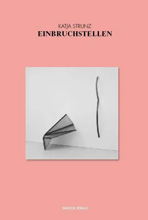 Cover: 9783940953339 | Katja Strunz: Einbruchstellen | Nicole Hackert (u. a.) | Buch | 2009