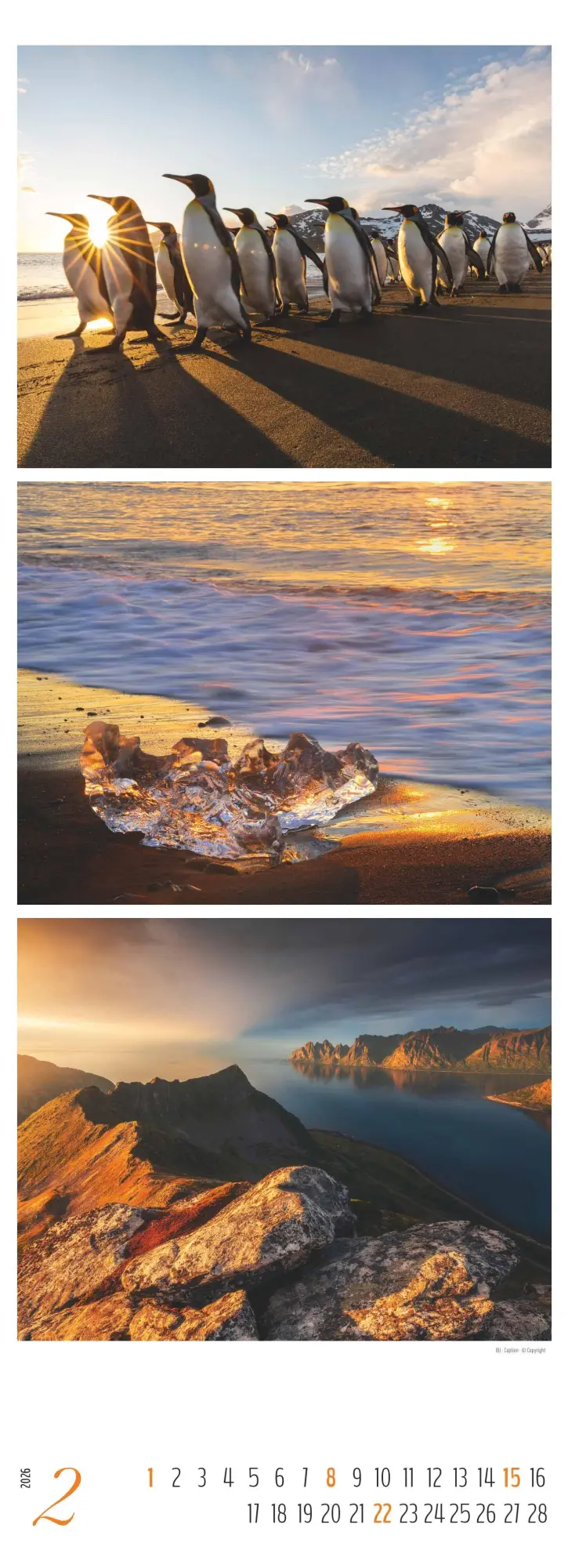 Bild: 4069095003439 | Colours of Nature - Triplets 2026 - Streifenkalender XXL 25x69 cm -...