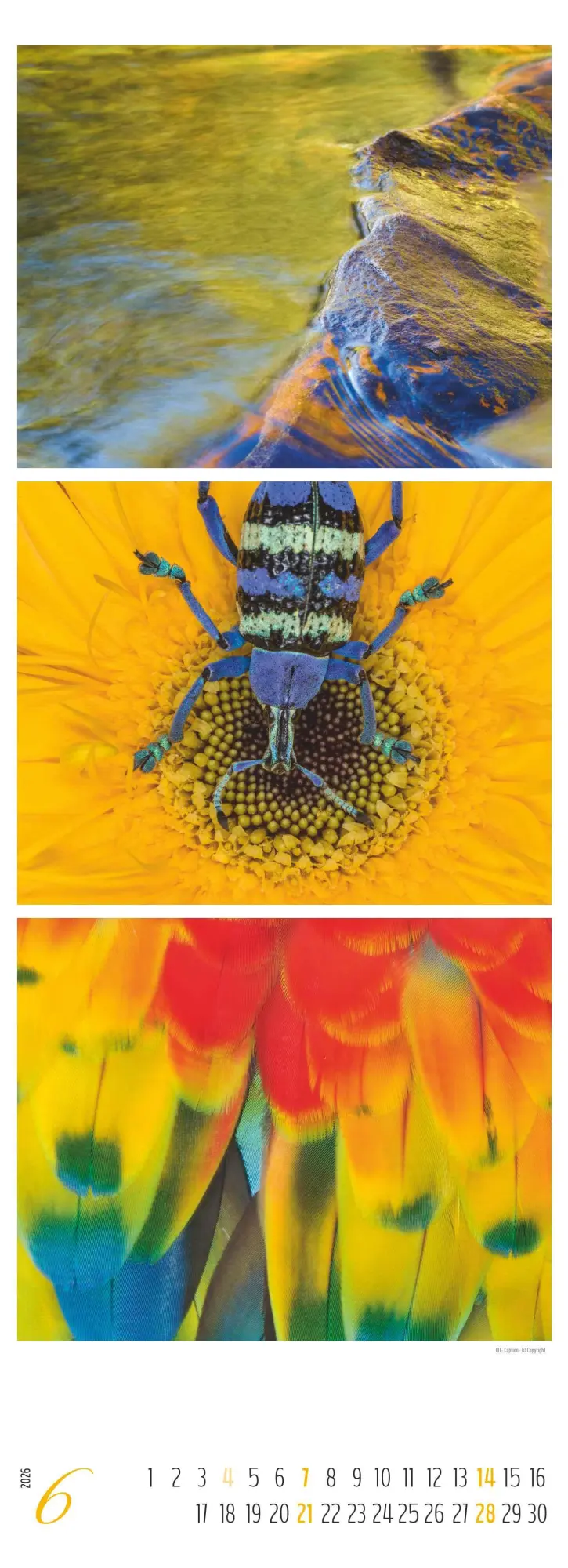 Bild: 4069095003439 | Colours of Nature - Triplets 2026 - Streifenkalender XXL 25x69 cm -...