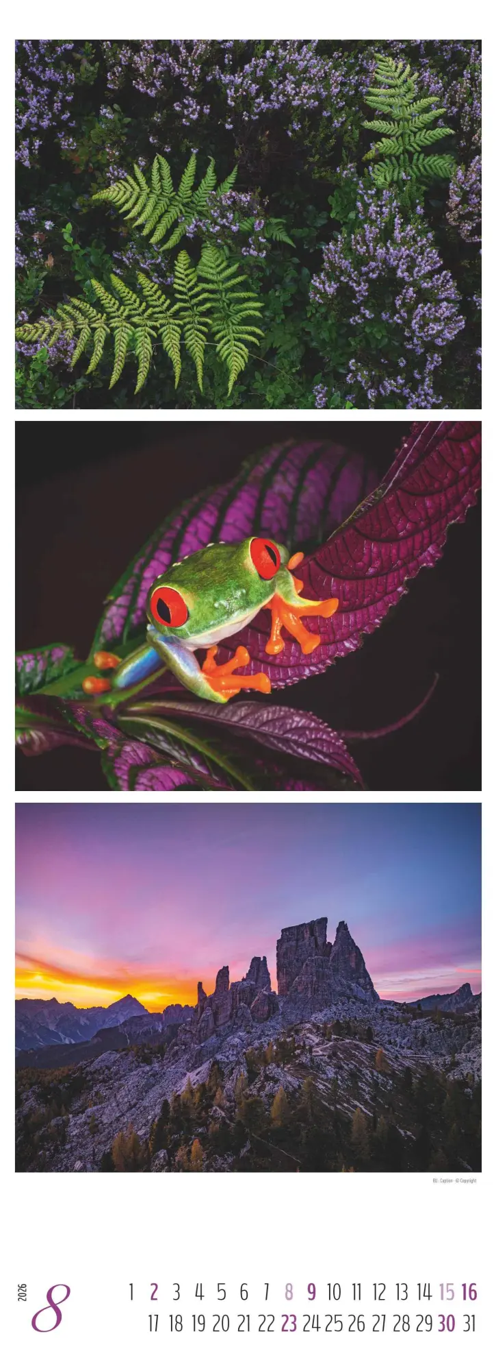 Bild: 4069095003439 | Colours of Nature - Triplets 2026 - Streifenkalender XXL 25x69 cm -...