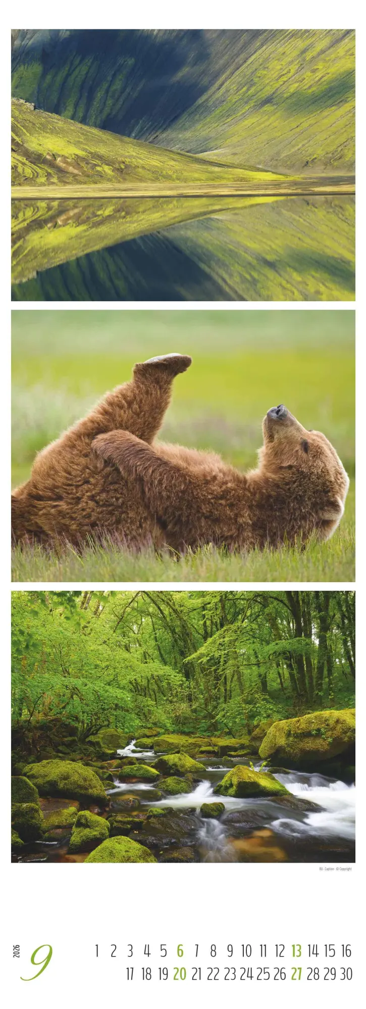 Bild: 4069095003439 | Colours of Nature - Triplets 2026 - Streifenkalender XXL 25x69 cm -...