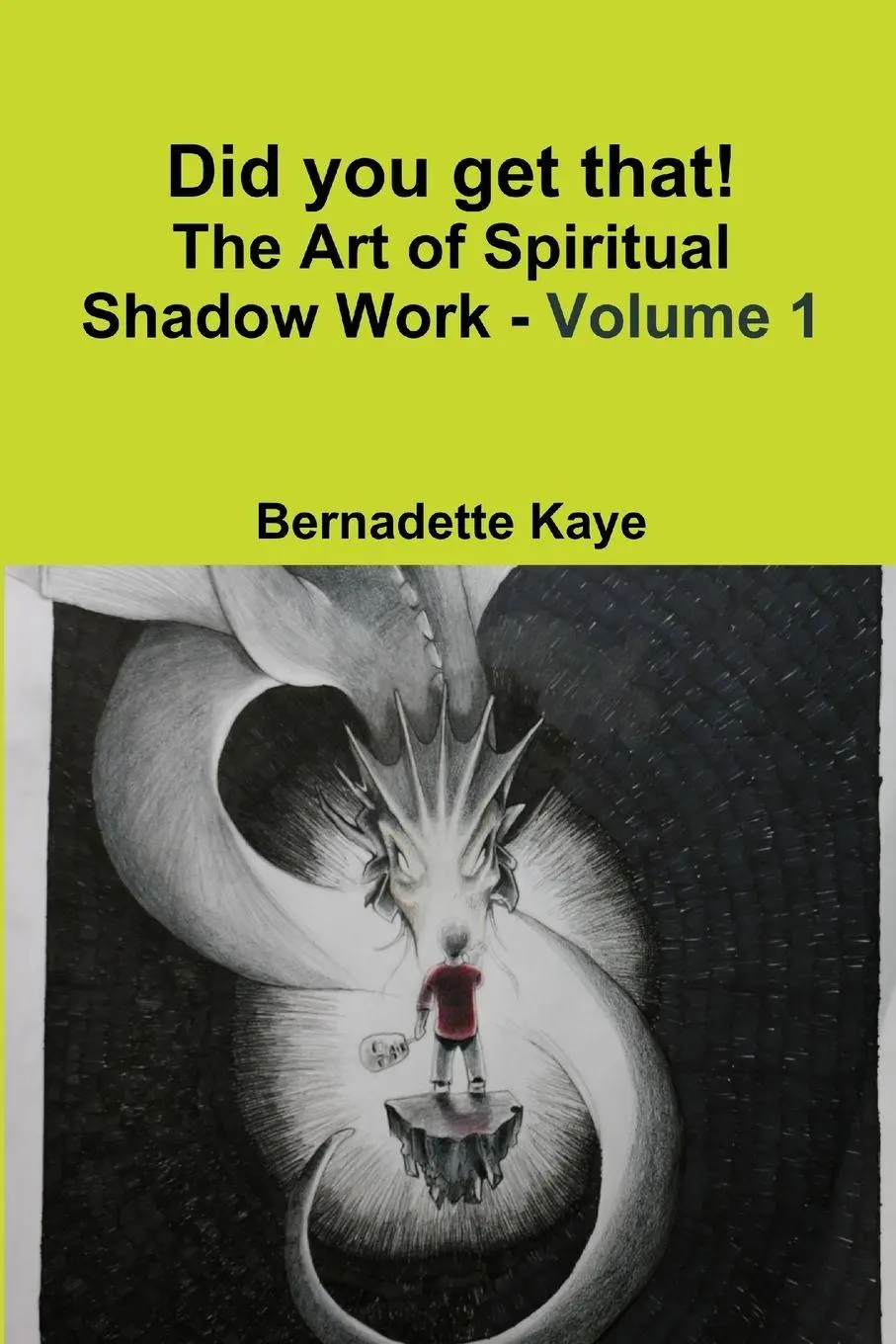 Cover: 9781775053439 | Did you get that! The Art of Spiritual Shadow Work - Volume 1 | Kaye