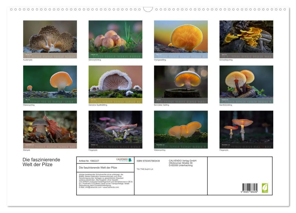 Bild: 9783457683439 | Die faszinierende Welt der Pilze (Wandkalender 2026 DIN A2 quer),...