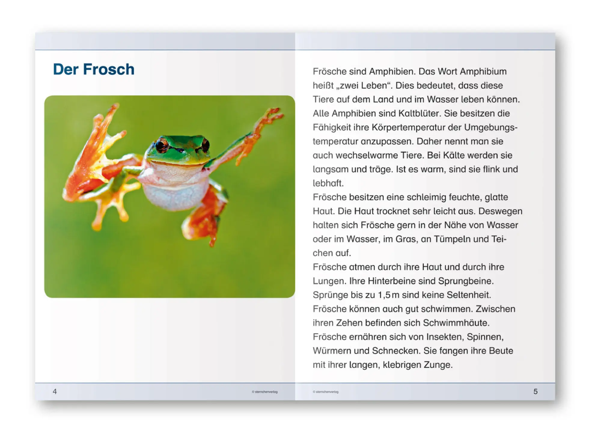Bild: 9783939293439 | Ich kenne den Frosch - Lebenszyklus | Katrin Langhans | Taschenbuch