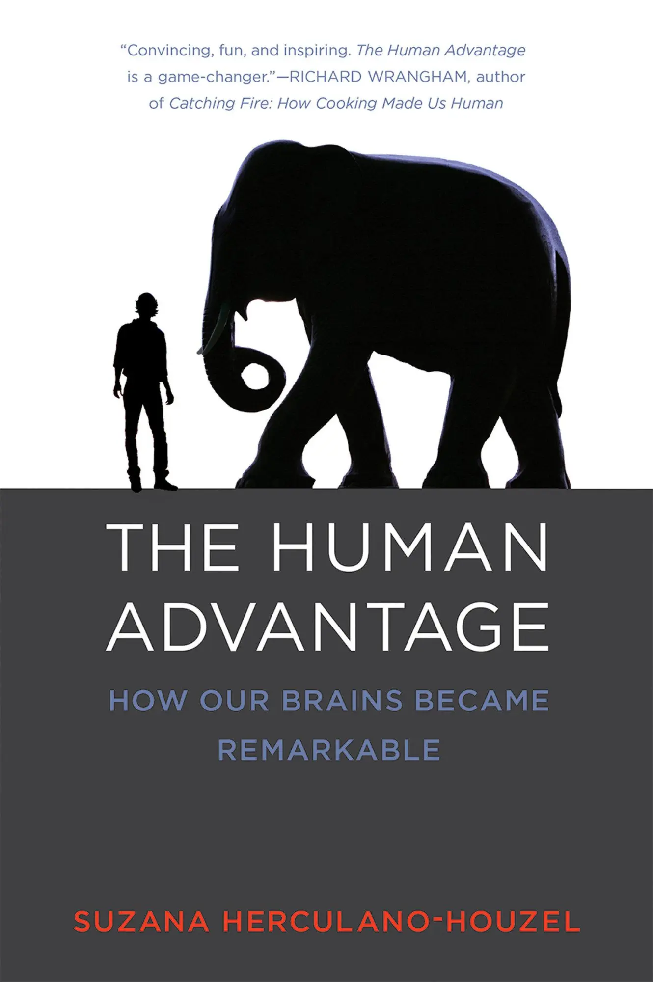 Cover: 9780262533539 | The Human Advantage | How Our Brains Became Remarkable | Taschenbuch