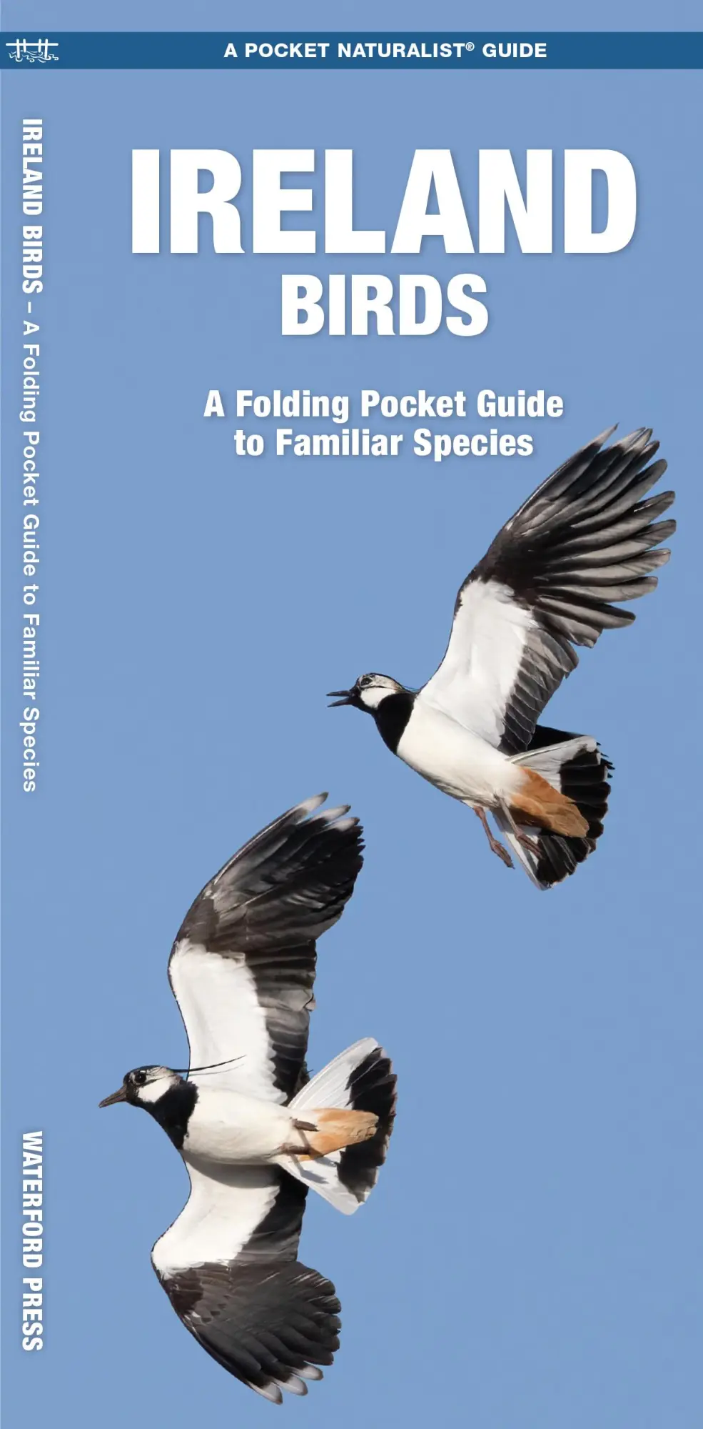 Cover: 9781620053539 | Ireland Birds | A Folding Pocket Guide to Familiar Species | Broschüre