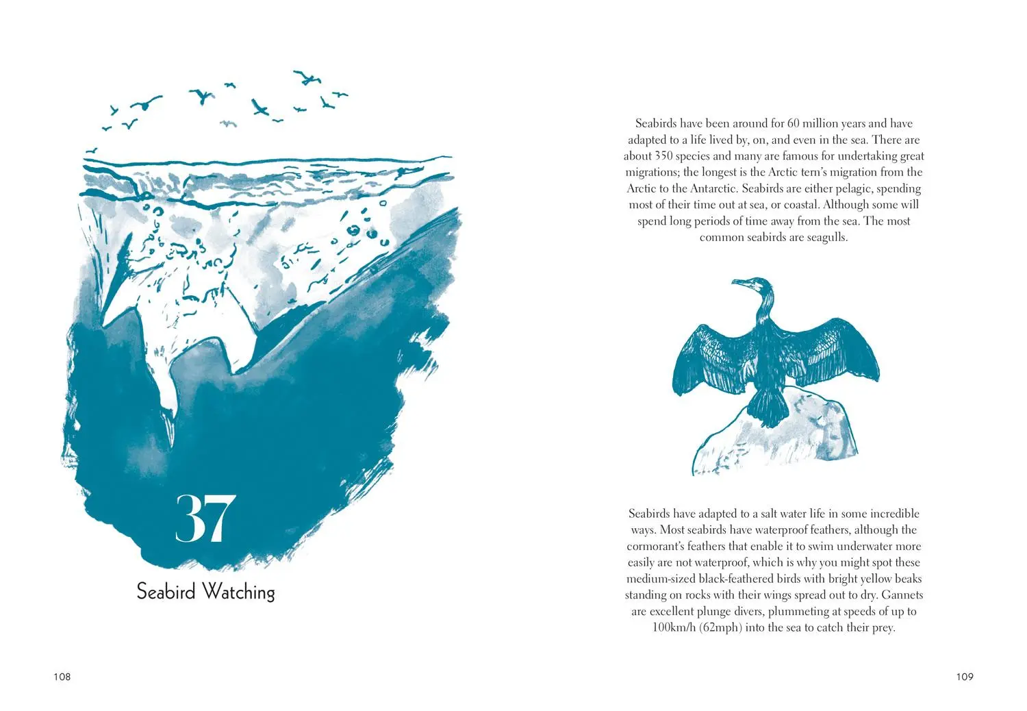 Bild: 9781911663539 | Fifty Things to Do by the Sea | Easkey Britton | Buch | Gebunden