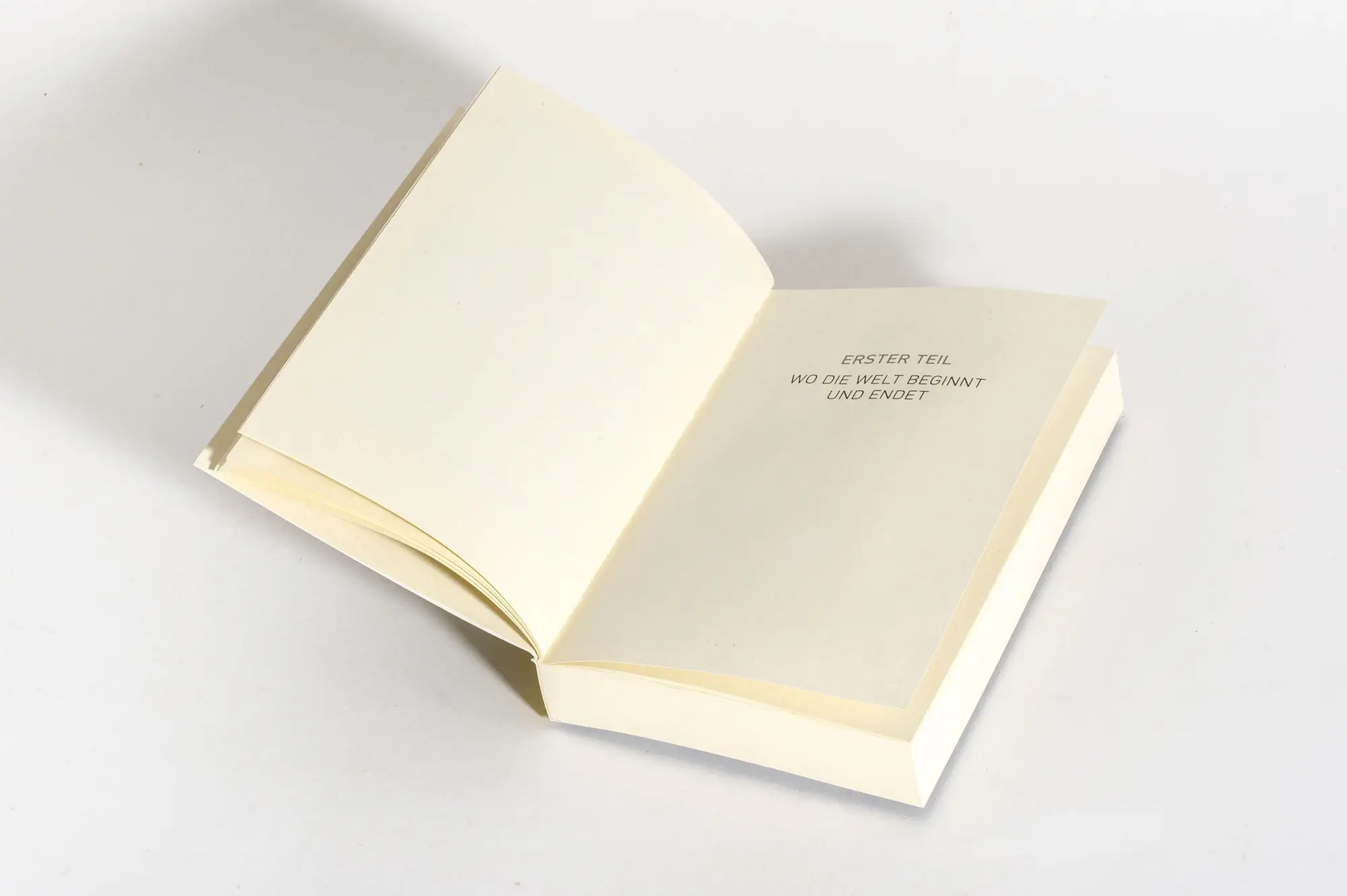 Bild: 9783328113539 | Malnata | Beatrice Salvioni | Taschenbuch | 272 S. | Deutsch | 2026