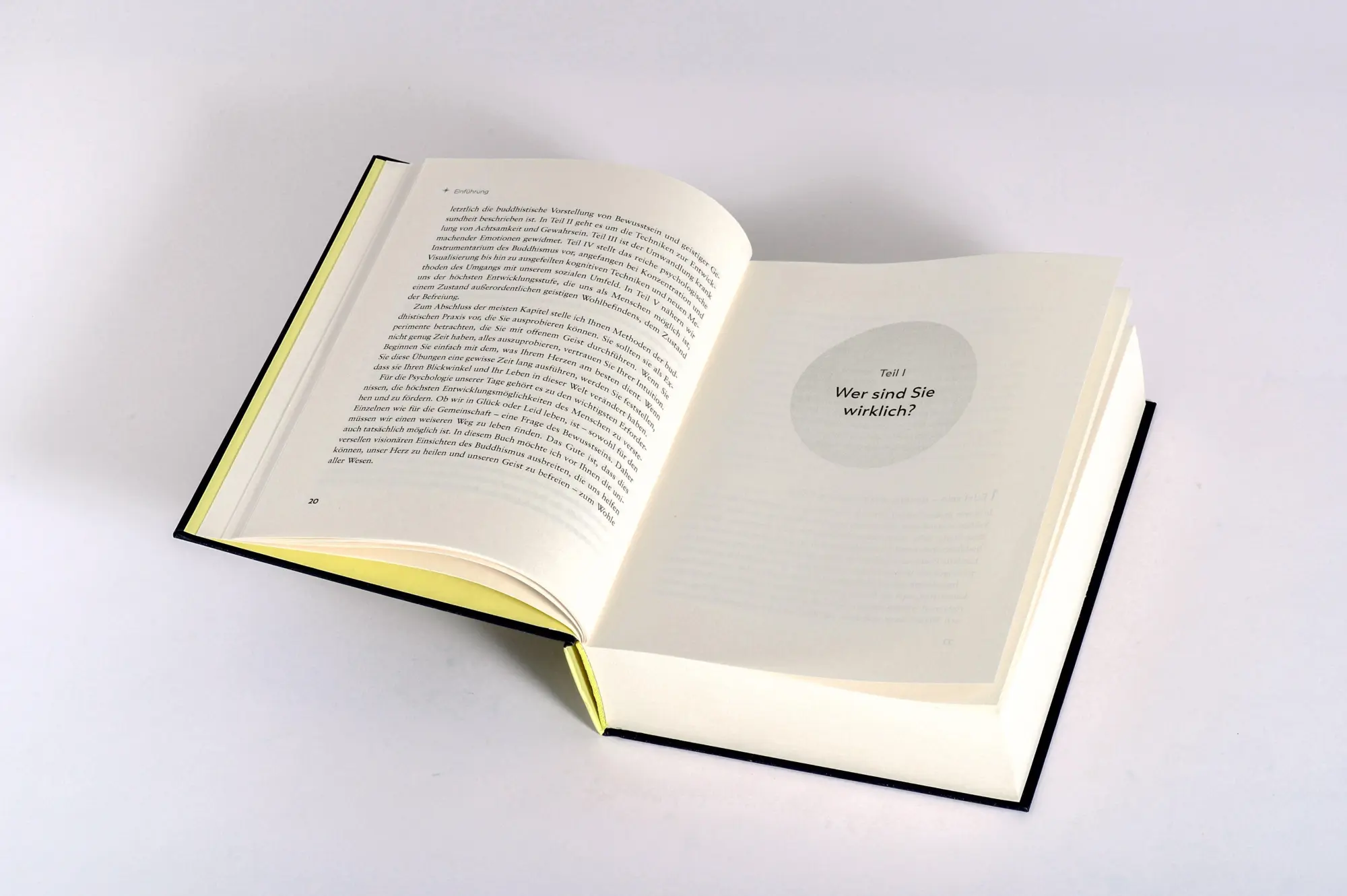 Bild: 9783442343539 | Das weise Herz | Jack Kornfield | Buch | 592 S. | Deutsch | 2026