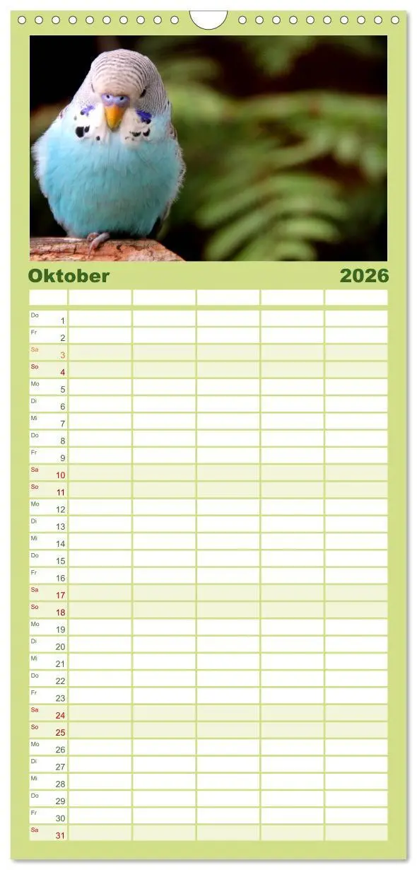 Bild: 9783516523539 | Familienplaner 2026 - Wellensittiche - Naturkalender mit 5 Spalten...