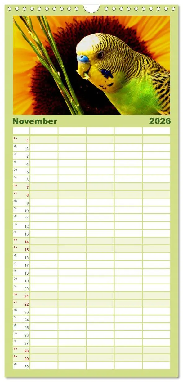 Bild: 9783516523539 | Familienplaner 2026 - Wellensittiche - Naturkalender mit 5 Spalten...