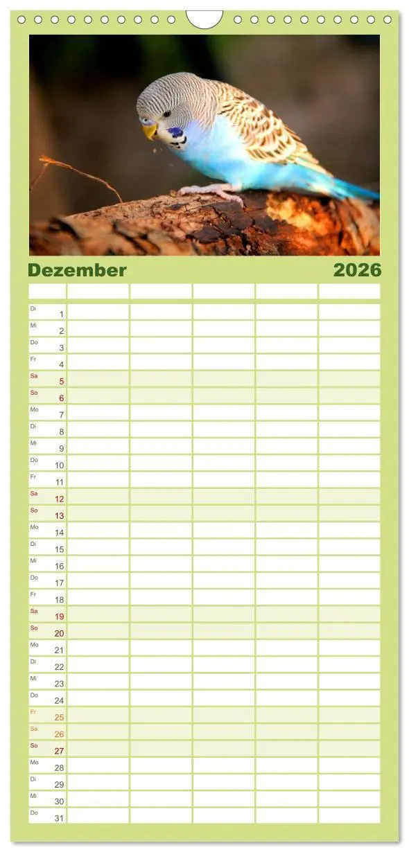 Bild: 9783516523539 | Familienplaner 2026 - Wellensittiche - Naturkalender mit 5 Spalten...