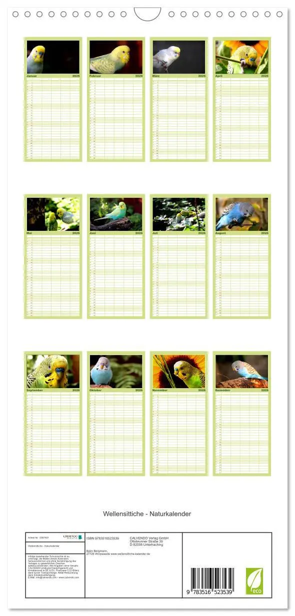 Bild: 9783516523539 | Familienplaner 2026 - Wellensittiche - Naturkalender mit 5 Spalten...