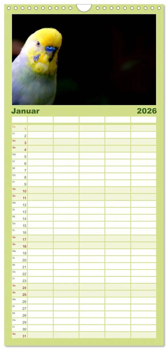 Bild: 9783516523539 | Familienplaner 2026 - Wellensittiche - Naturkalender mit 5 Spalten...