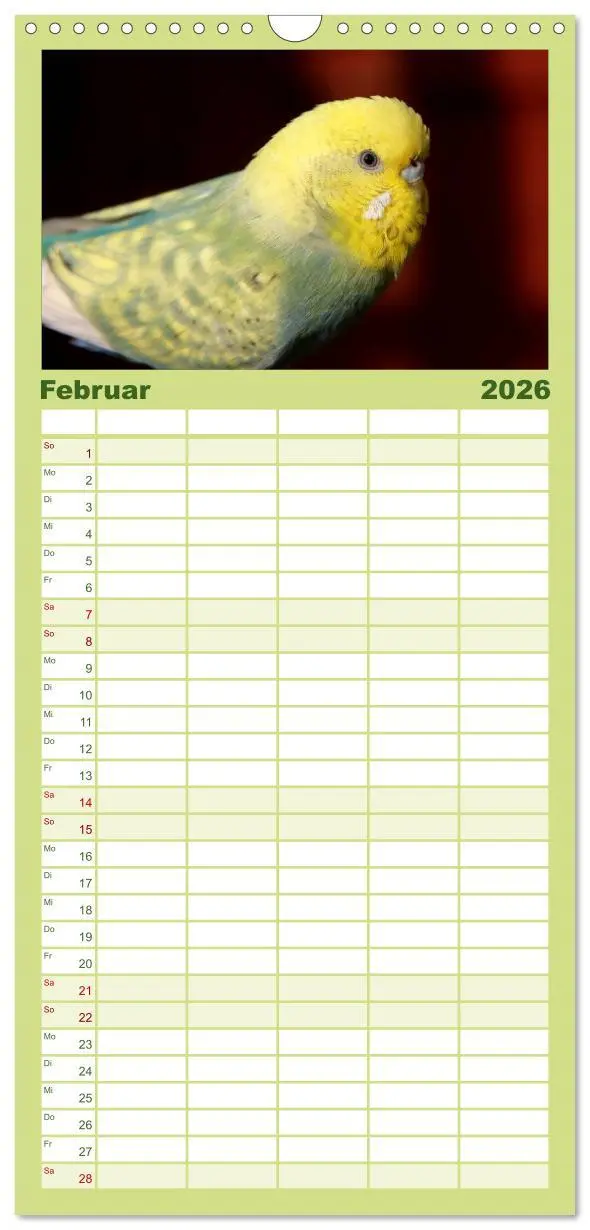 Bild: 9783516523539 | Familienplaner 2026 - Wellensittiche - Naturkalender mit 5 Spalten...