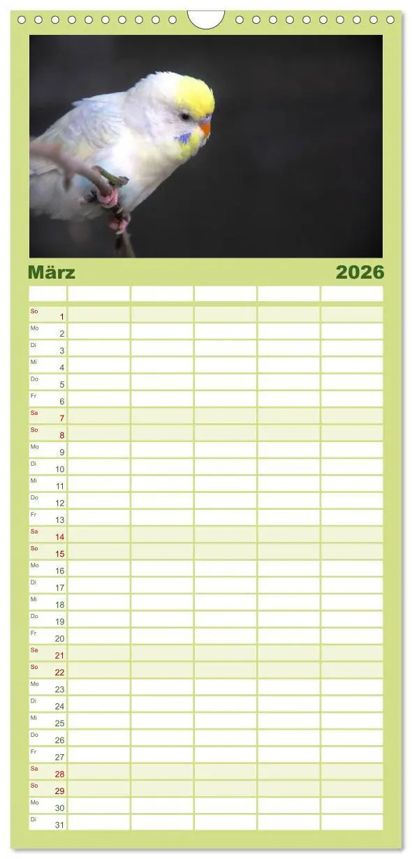Bild: 9783516523539 | Familienplaner 2026 - Wellensittiche - Naturkalender mit 5 Spalten...