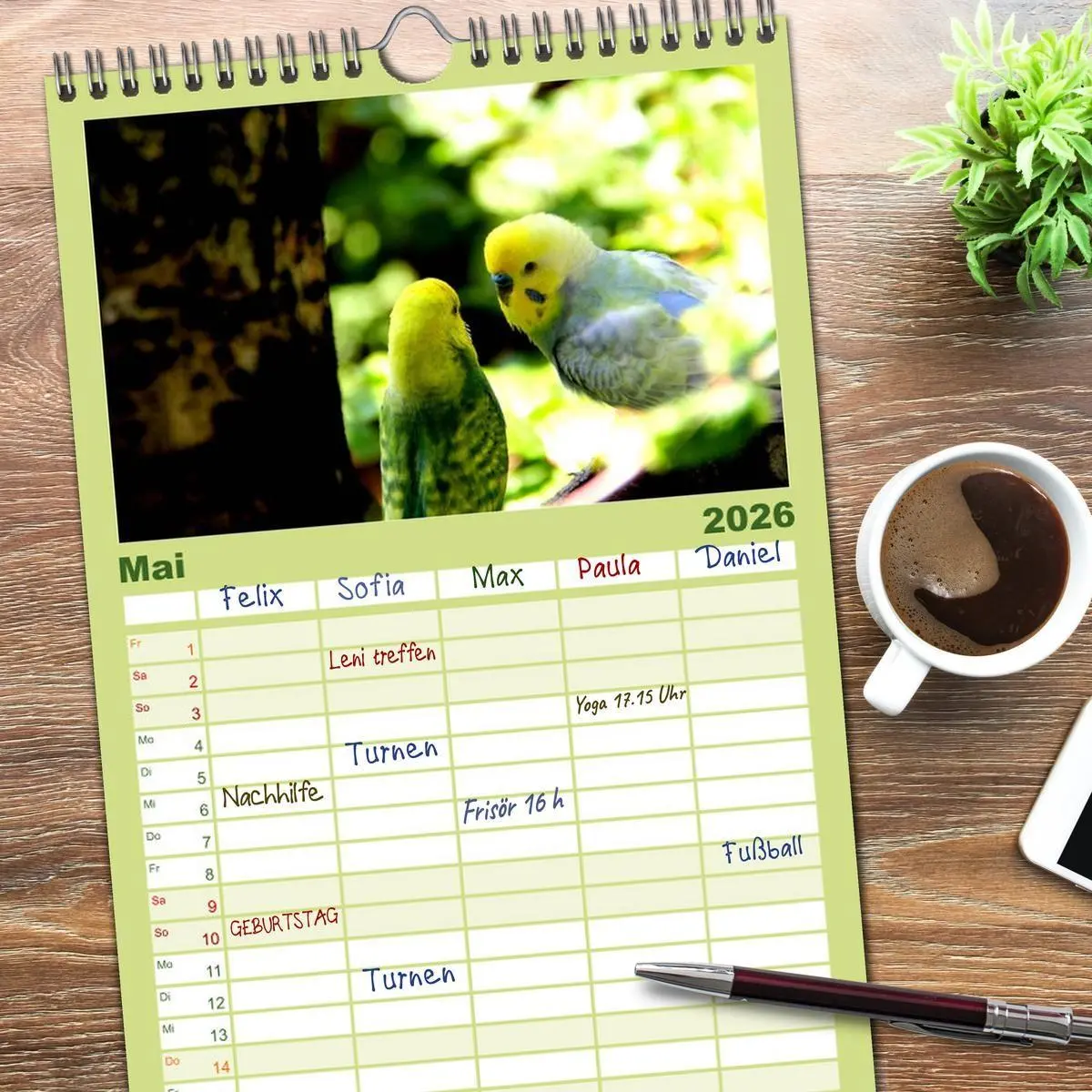 Bild: 9783516523539 | Familienplaner 2026 - Wellensittiche - Naturkalender mit 5 Spalten...