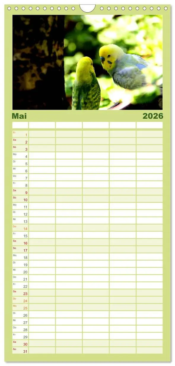 Bild: 9783516523539 | Familienplaner 2026 - Wellensittiche - Naturkalender mit 5 Spalten...