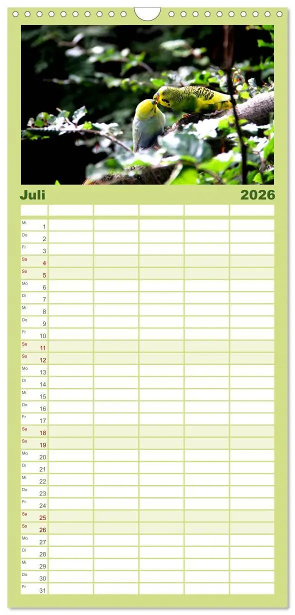 Bild: 9783516523539 | Familienplaner 2026 - Wellensittiche - Naturkalender mit 5 Spalten...