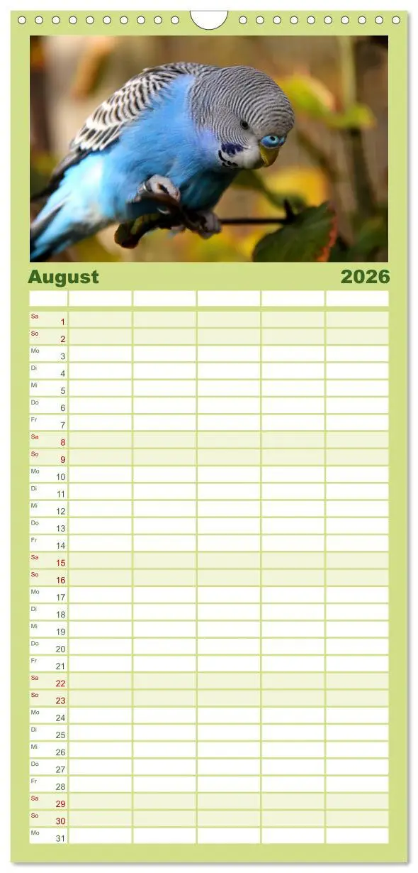 Bild: 9783516523539 | Familienplaner 2026 - Wellensittiche - Naturkalender mit 5 Spalten...