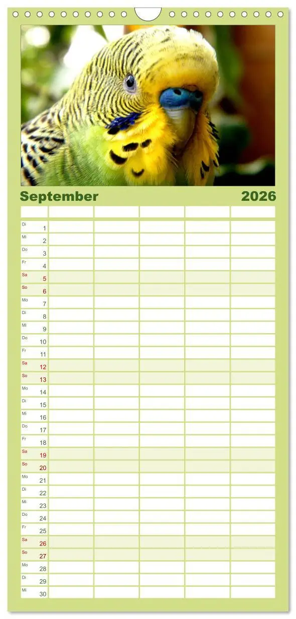 Bild: 9783516523539 | Familienplaner 2026 - Wellensittiche - Naturkalender mit 5 Spalten...