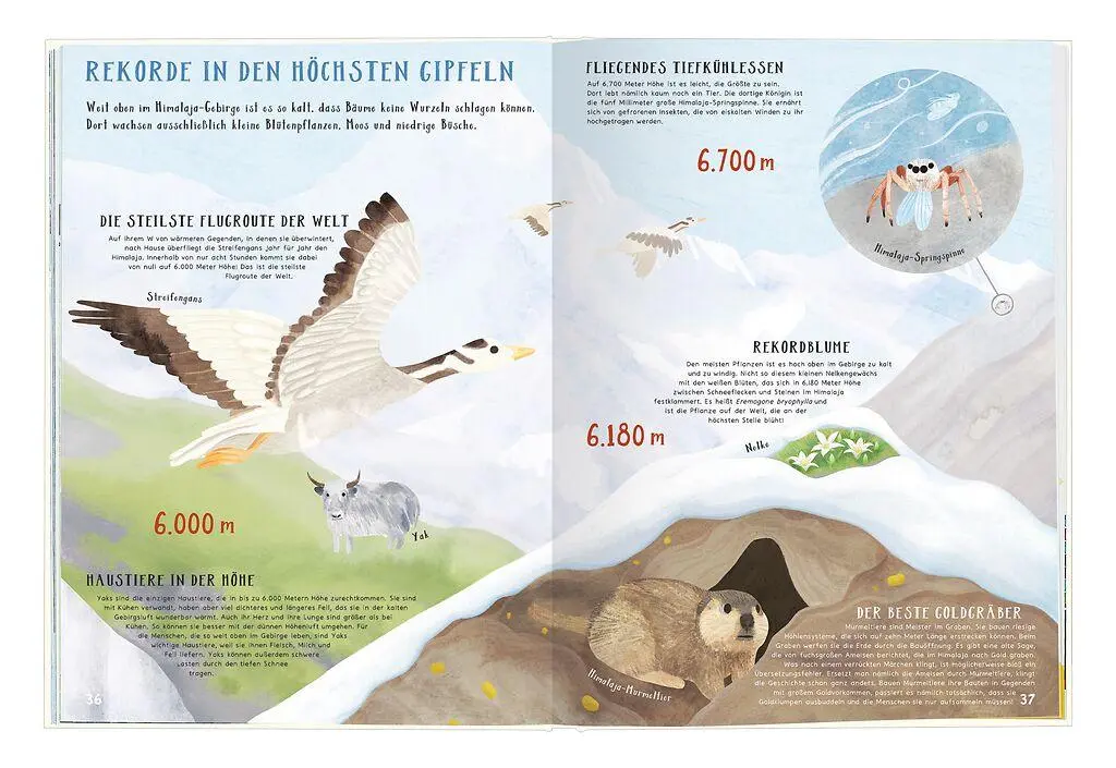 Bild: 9783964553539 | Verrückte Rekorde | Höher, Grösser, Weiter in der Natur | Vestre