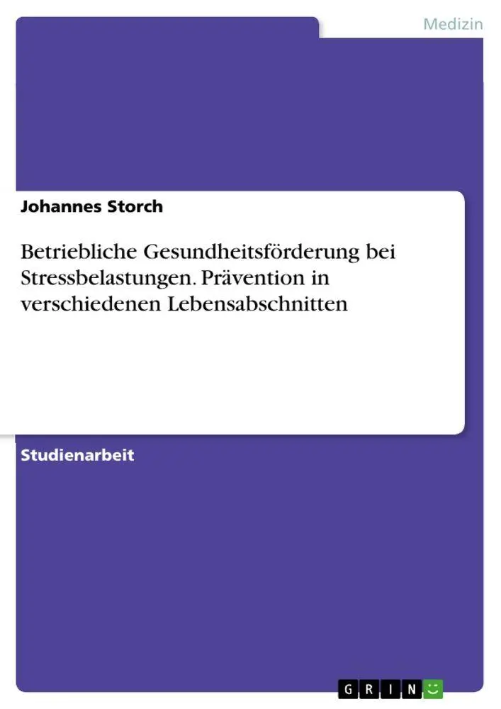 Cover: 9783346303639 | Betriebliche Gesundheitsförderung bei Stressbelastungen. Prävention...