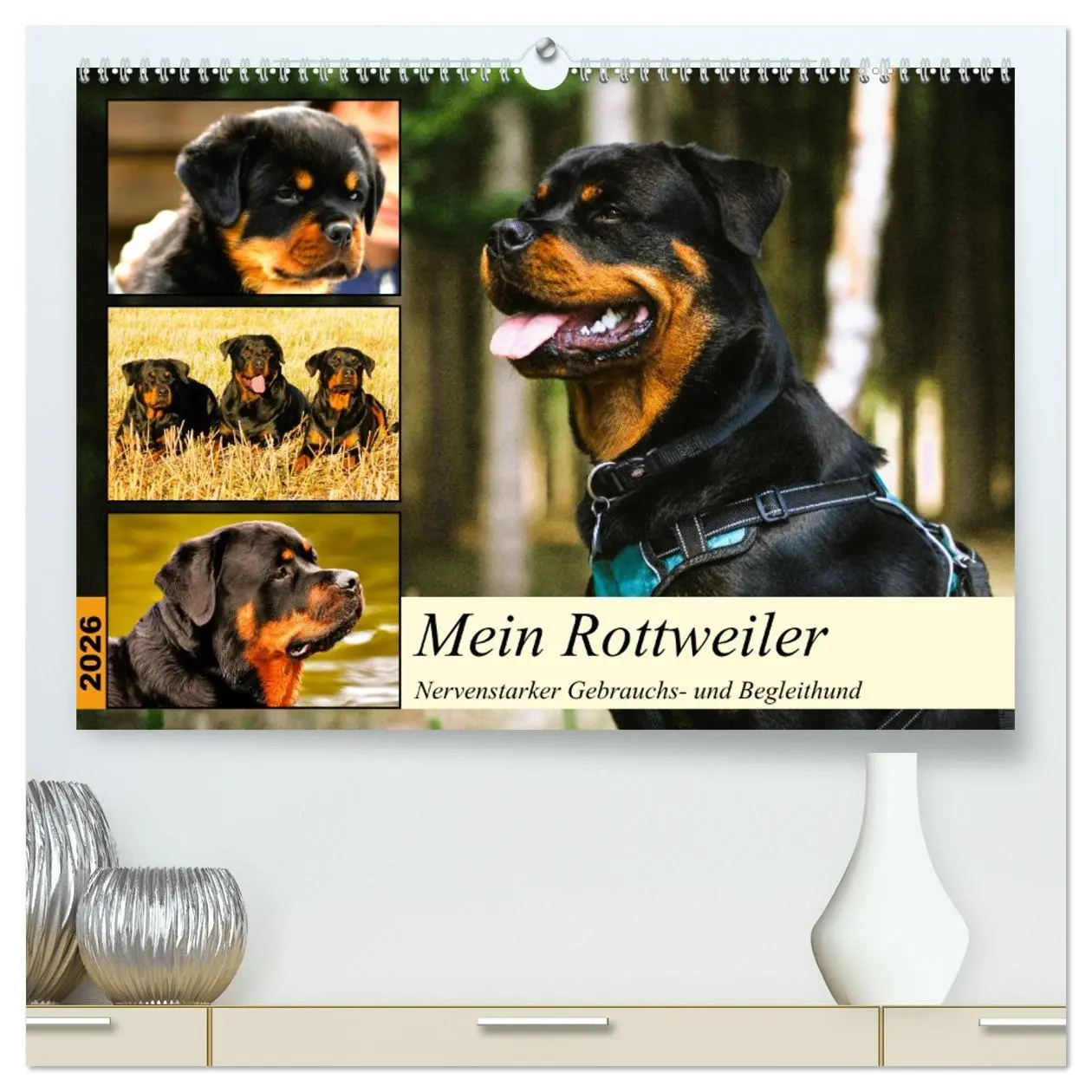 Cover: 9783457423639 | Mein Rottweiler. Nervenstarker Gebrauchs- und Begleithund...
